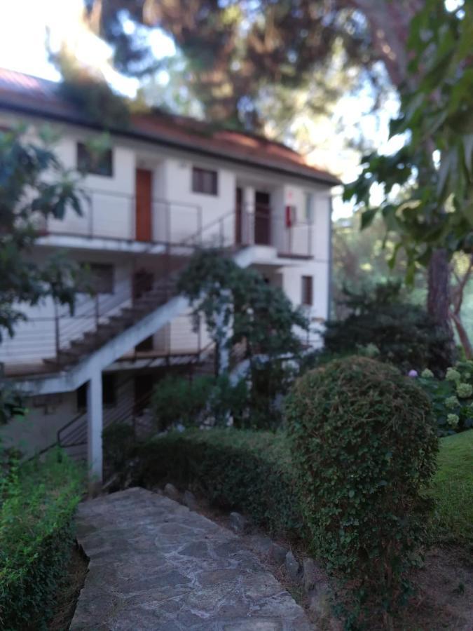 Ferienwohnung El Mirador De Bacha San Martín de Valdeiglesias Exterior foto