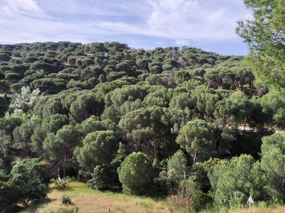 Ferienwohnung El Mirador De Bacha San Martín de Valdeiglesias Exterior foto