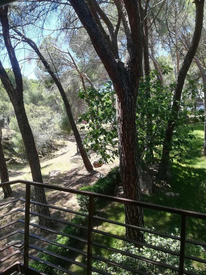 Ferienwohnung El Mirador De Bacha San Martín de Valdeiglesias Exterior foto